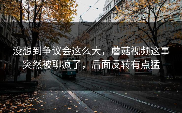 没想到争议会这么大，蘑菇视频这事突然被聊疯了，后面反转有点猛