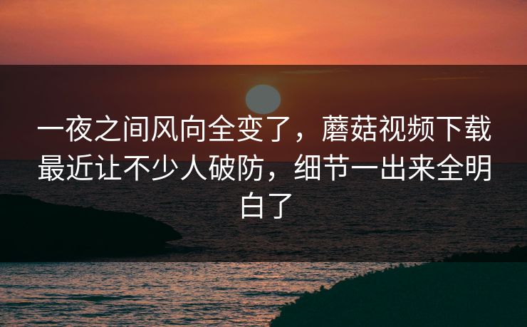 一夜之间风向全变了，蘑菇视频下载最近让不少人破防，细节一出来全明白了